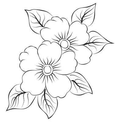 Flowers Images For Drawing With Colour | Best Flower Site
