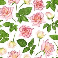 WHITE VECTOR SEAMLESS BACKGROUND WITH BLOOMING DIGITAL WATERCOLOR ROSES