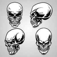 conjunto de cráneo vector
