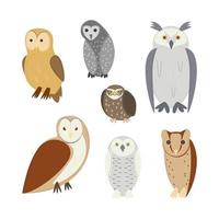 Cartoon Color Different Owl Set. Vector