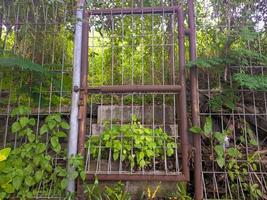 an old rusty iron fence surrounded by weeds photo