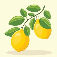 Lemon with Leaves Vector Illustration. Fresh Yellow Lime Flat Design