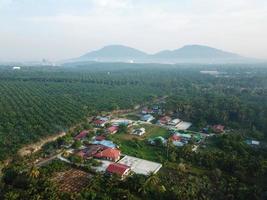 Kampung casa cerca petróleo palma foto