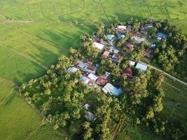 Aerial view green scenery of kampung house in morning sun light photo