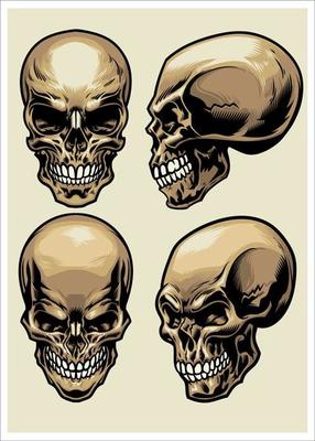 Set of skull