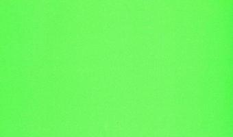 green paper texture background photo