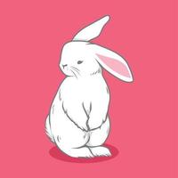 Conejo conjunto ilustración vector diseño linda mano dibujo