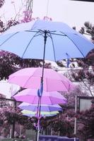 Colorful umbrellas hanging above street of the park. photo