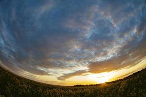 Rapeseed field and sunset sky captured with a fisheye lens photo