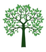 Shape of green Tree with Leaves. Vector outline Illustration.