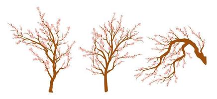 Set of spring blooming tree branches, tree branch with pink flowers. Sakura or cherry. vector