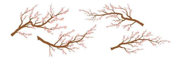 Set of spring blooming tree branches, tree branch with pink flowers. Sakura or cherry vector