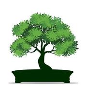 Shape of Tree in pot. Vector outline Illustration of Bonsai.