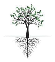 Green Tree wth Roots. Vector Illustration.