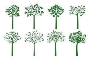 Set green Young Trees. Vector Illustration.