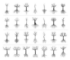 Set black vector Trees with Roots. EPS.