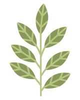 Doodle flat clipart simple leaf. Easy to change color. vector