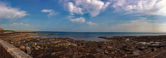 un ver de aves en farne islas foto