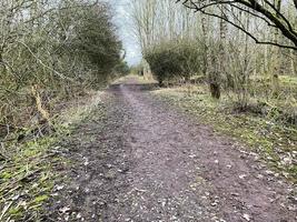 A view of Greenfields Nature Reserve in Whitchurch photo
