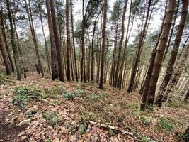 A view of the Cheshire Countryside at Bickerton Hills photo