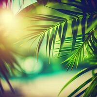 Blur beautiful nature green palm leaf on tropical beach with bokeh sun light flare wave abstract background. Summer vacation and business travel concept space - image photo