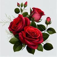 Red rose on white background, floral pattern - image photo