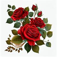 Red rose on white background, floral pattern - image photo