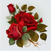 Red rose on white background, floral pattern - image photo