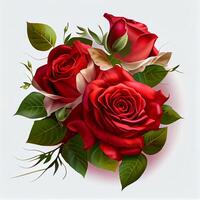 Red rose on white background, floral pattern - image photo