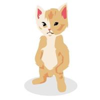 funny kitten standing with angry expression. cartoon illustration. concept of pet, cat, cute, animal. vector