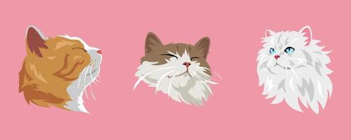 conjunto de gato caras con diferente tipos, expresiones, colores, formas vector ilustración.