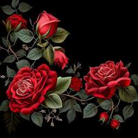 Red rose on black background, floral template - image photo