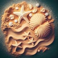 Seashells background on sand - image photo