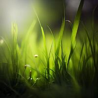 hermosa textura de verde prado césped con Rocío gotas cerca arriba, resumen difuminar natural bokeh antecedentes - ai generado imagen foto