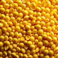 maduro maíz, maíz grano antecedentes - ai generado imagen foto