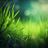 Beautiful texture of green meadow grass with dew drops close up, abstract blur natural bokeh background - Image photo