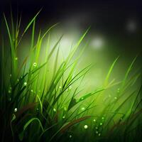 Beautiful texture of green meadow grass with dew drops close up, abstract blur natural bokeh background - Image photo