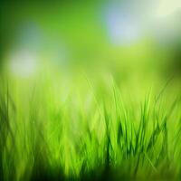 Beautiful texture of green meadow grass with dew drops close up, abstract blur natural bokeh background - Image photo