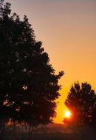 Sunset. The sun shines between the trees in the golden light. Autumn mood. Landscape photo