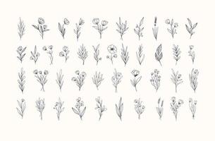 Set of beautiful hand drawn botanical flowers collection vector