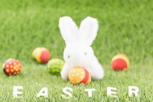 juguetes de conejito y huevos de pascua con texto foto
