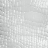 White expensive luxury genuine leather premium - image photo