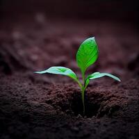 The growth of a new plant in the soil of the earth, environmental care, green energy - image photo