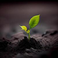 The growth of a new plant in the soil of the earth, environmental care, green energy - AI generated image photo