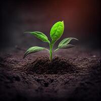 The growth of a new plant in the soil of the earth, environmental care, green energy - image photo