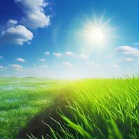 Bright sun shines on green morning grassy meadow, bright blue sky - image photo