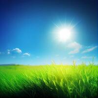 Bright sun shines on green morning grassy meadow, bright blue sky - image photo