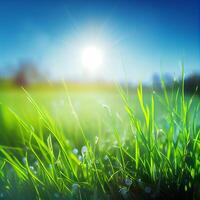 Bright sun shines on green morning grassy meadow, bright blue sky - image photo