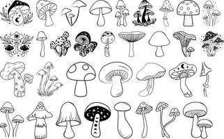 Forest mushroom line icon set. Chanterelle, champignon, shiitake, porcini, cep, truffle shiitake minimal vector illustration. Simple outline sign for Perfect Editable Stroke