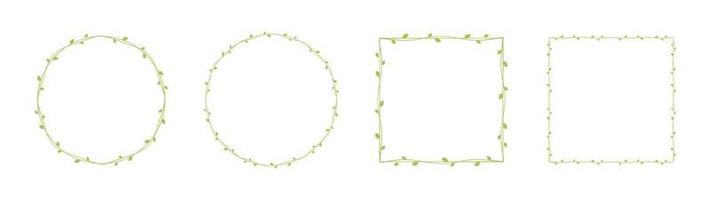 Green vine frames and borders set, floral botanical design element vector illustration